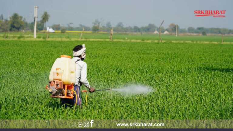 Dhanuka Agritech Q4 Results: Stock Surges 12% Following Strong Revenue Growth and Margin Expansion