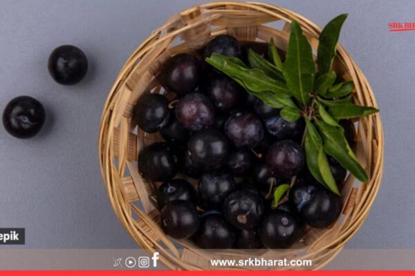 Jamun Seed Powder: The Overlooked Superfood Transforming Diabetes Care Nothing 2025 06 28T120544.111