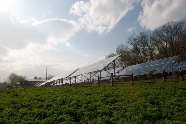 Apple Unveils Major Green Energy Investment Strategy for India