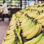 Arizona's Food Stamp Crisis: A Warning for National Nutrition Policy