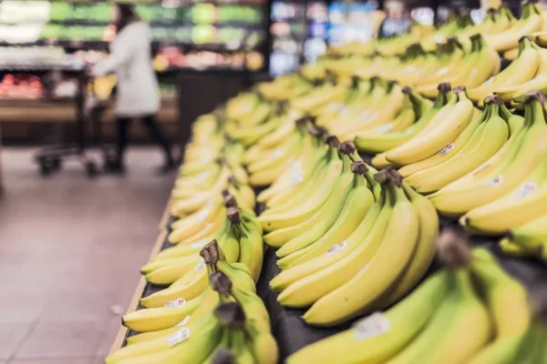Arizona's Food Stamp Crisis: A Warning for National Nutrition Policy