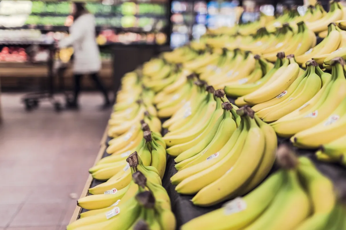 Arizona's Food Stamp Crisis: A Warning for National Nutrition Policy