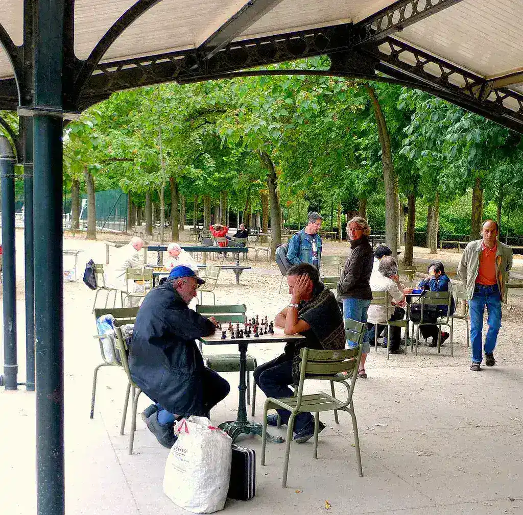 Checkmate in Chennai: The Rise of Public Chess Hubs