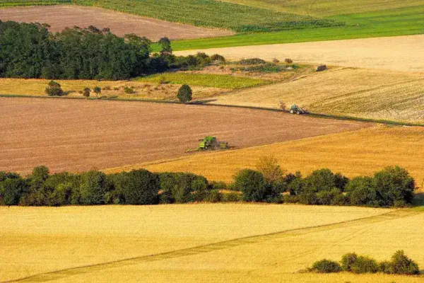 China Commits to $17 Billion Annual Purchase of U.S. Agricultural Goods Following High-Level Talks