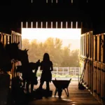 Community Resilience: Anonymous Donors Aid Nebraska Ranchers Following Devastating Wildfire