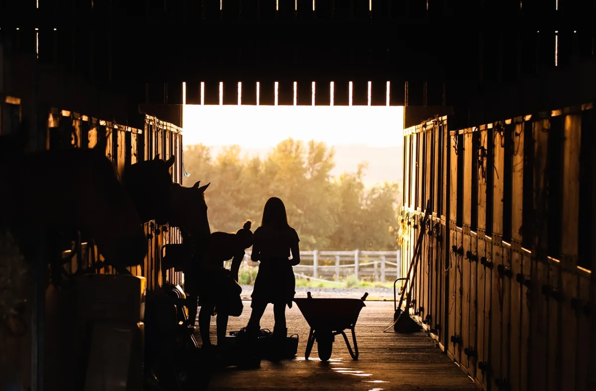 Community Resilience: Anonymous Donors Aid Nebraska Ranchers Following Devastating Wildfire