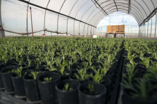 Coromandel International Reports 80% Drop in Q4 Net Profit