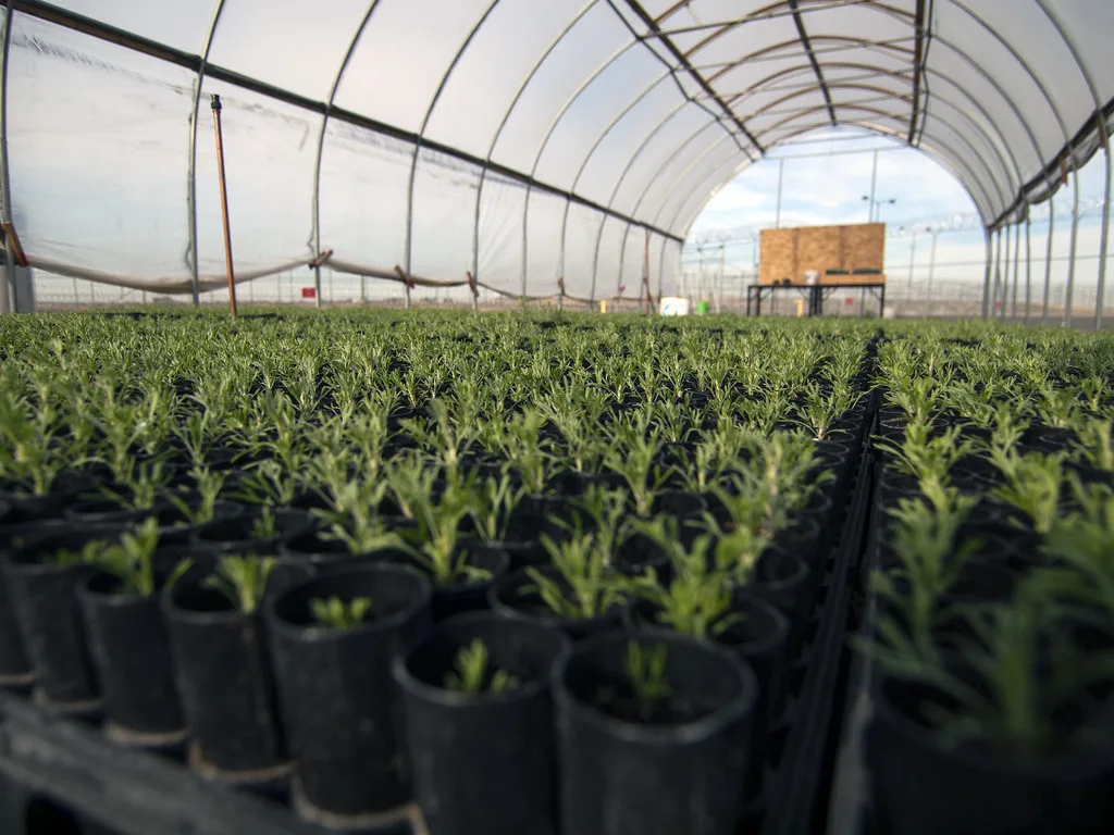 Coromandel International Reports 80% Drop in Q4 Net Profit