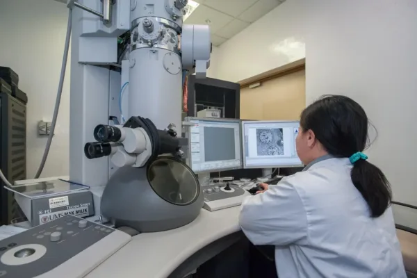 Divi's Laboratories Reports Strong Q4 Performance, Net Profit Rises 13%