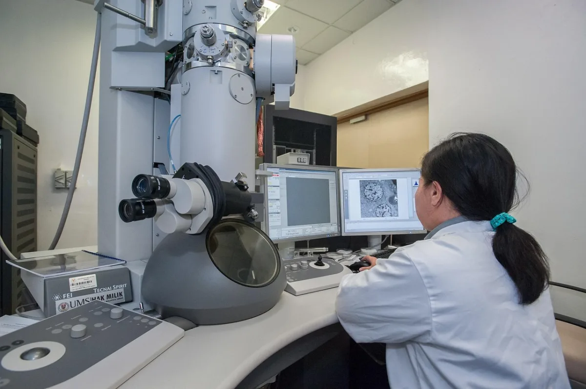 Divi's Laboratories Reports Strong Q4 Performance, Net Profit Rises 13%