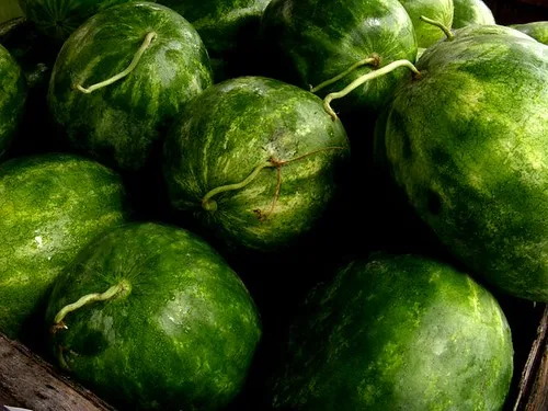 FSSAI Initiates Nationwide Safety Crackdown on Watermelon Supply Chains