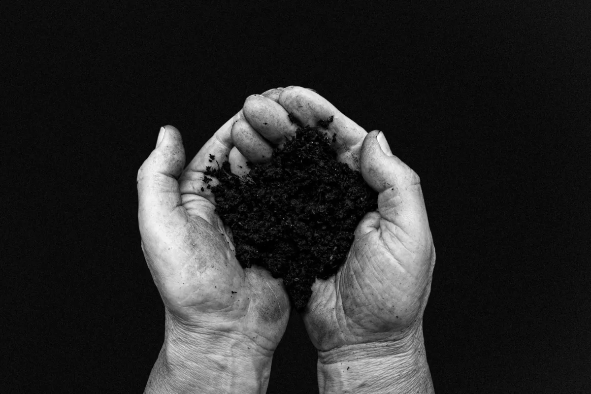 Fertiliser Price Surge Threatens Global Food Security