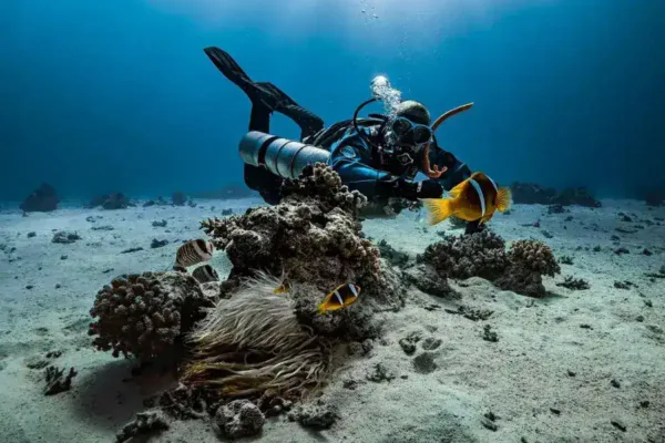 Finnish Technical Diving Experts Arrive in Maldives to Resume Search for Missing Italians