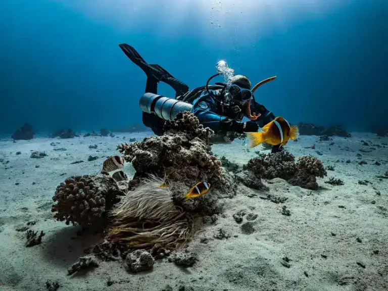 Finnish Technical Diving Experts Arrive in Maldives to Resume Search for Missing Italians