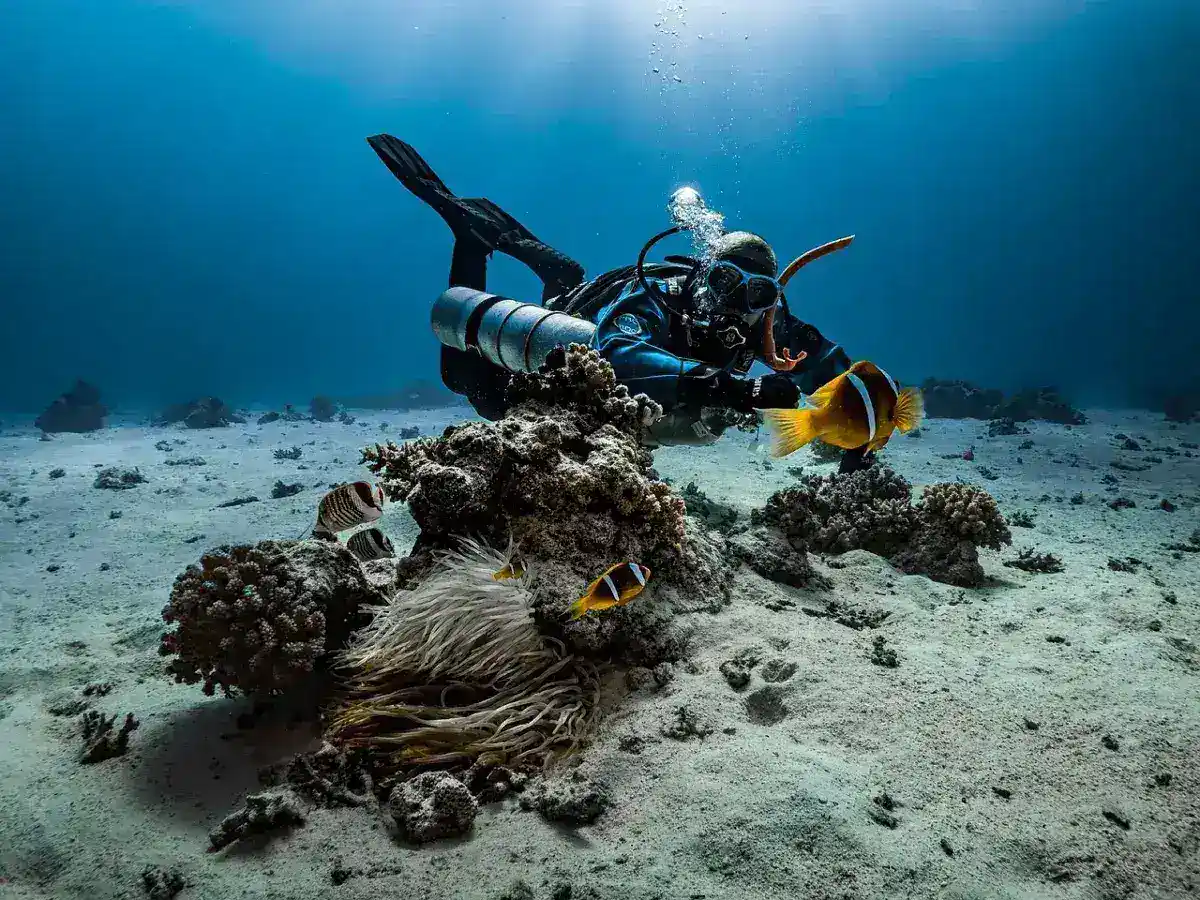 Finnish Technical Diving Experts Arrive in Maldives to Resume Search for Missing Italians