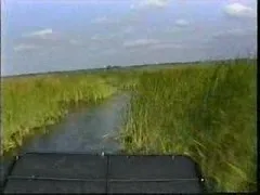 Florida Influencer Faces Investigation Following Viral Alligator Shooting Video