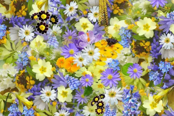 Global Dispatches: From Conflict Zones to Civil Protests