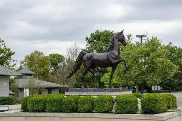 Golden Tempo Wins 152nd Kentucky Derby, Making History for Trainer Cherie DeVaux