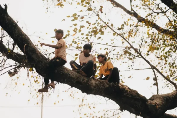 Governance and Displacement: Nepal's New Administration Faces Mounting Public Scrutiny