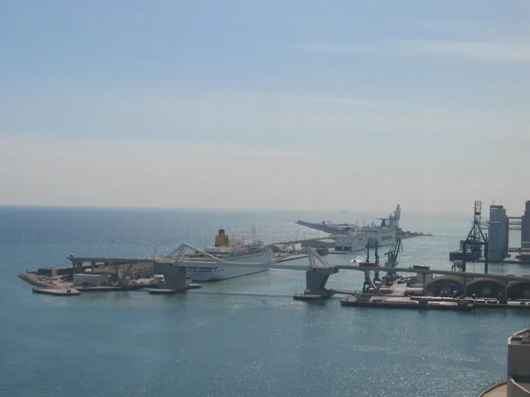 Hantavirus Scare Intensifies as Cruise Ship Reaches Canary Islands