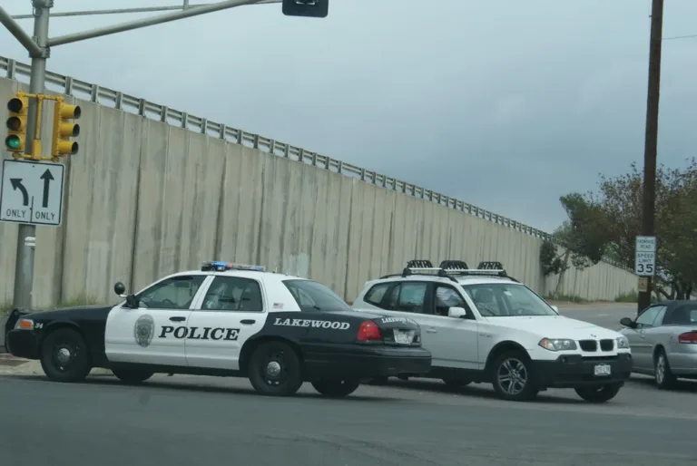 Identity Theft Allegations Surface in Fulton County Traffic Stop Investigation