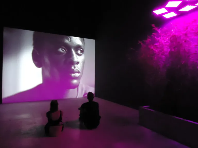 India Makes Global Mark: Gajendra Singh Shekhawat Inaugurates Pavilion at Venice Biennale