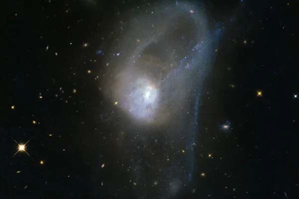 James Webb Space Telescope Little Red Dots May Reveal Birth of Black Holes