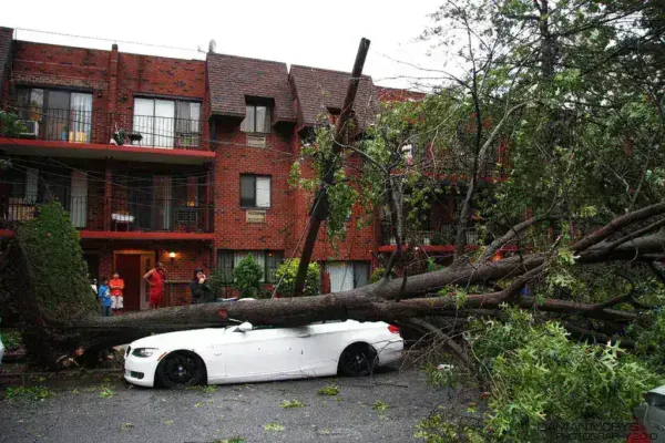 Mississippi Tornadoes Leave Hundreds of Homes Damaged in Wake of Severe Storms