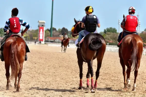 Napoleon Solo Captures Preakness Stakes at Laurel Park
