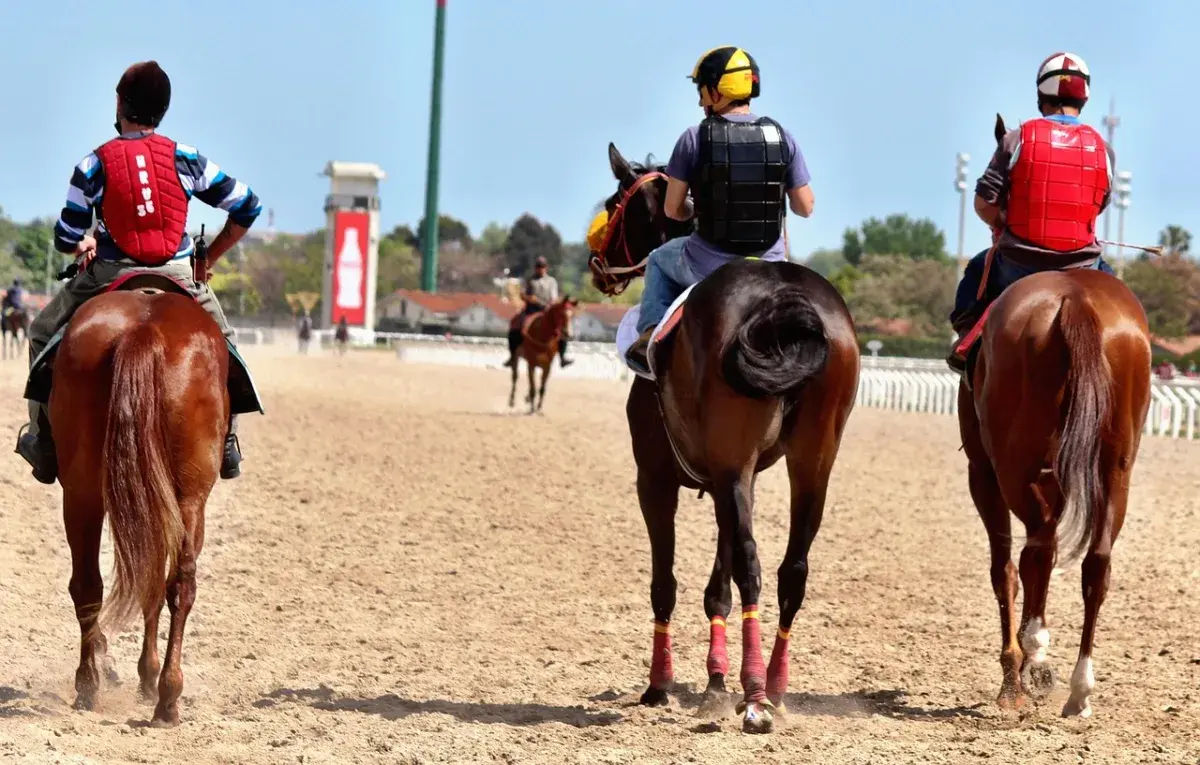 Napoleon Solo Captures Preakness Stakes at Laurel Park