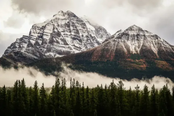 Navigating Federal Tensions: Alberta's Path Beyond Separatism