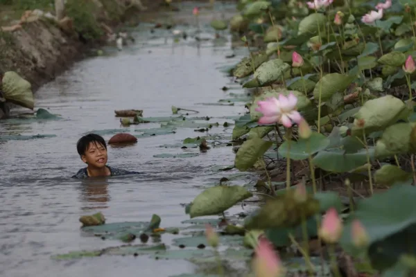 Parisians Defy Swimming Bans Amidst Unprecedented European Heatwave