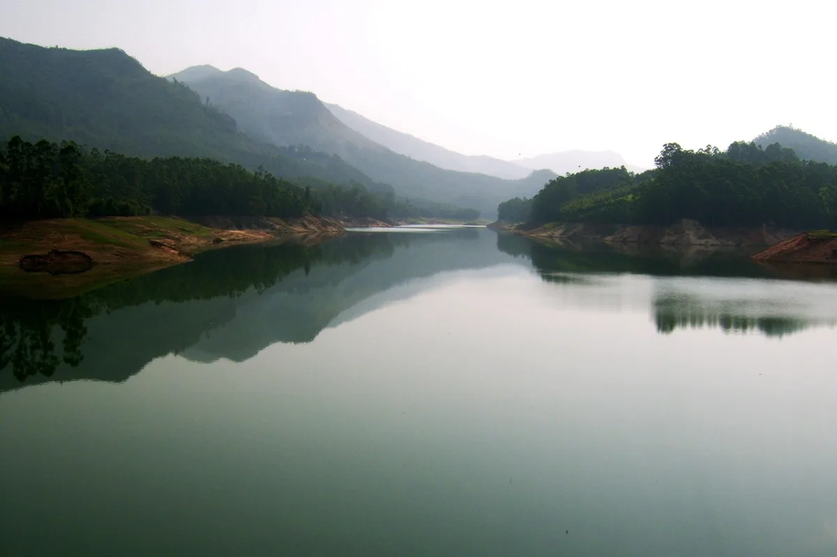 Periyar Tiger Reserve Revitalizes Abandoned Lands Through Tribal-Led Agriculture