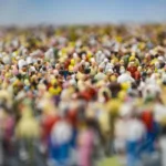Poll Reveals Surprising Common Ground Among Democratic Voters