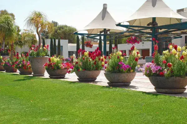 Redefining the Golf Getaway: Resorts That Appeal to Every Traveler