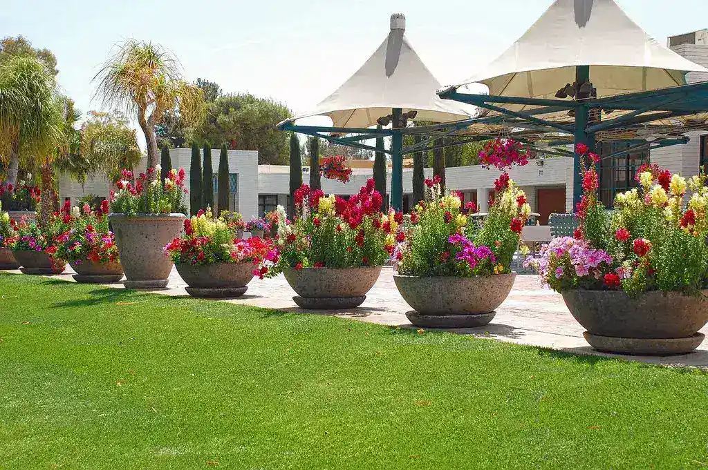Redefining the Golf Getaway: Resorts That Appeal to Every Traveler