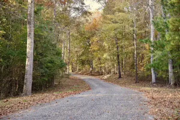 Rural Alabama Sewage Crisis Deepens After Justice Department Reverses Funding Deal