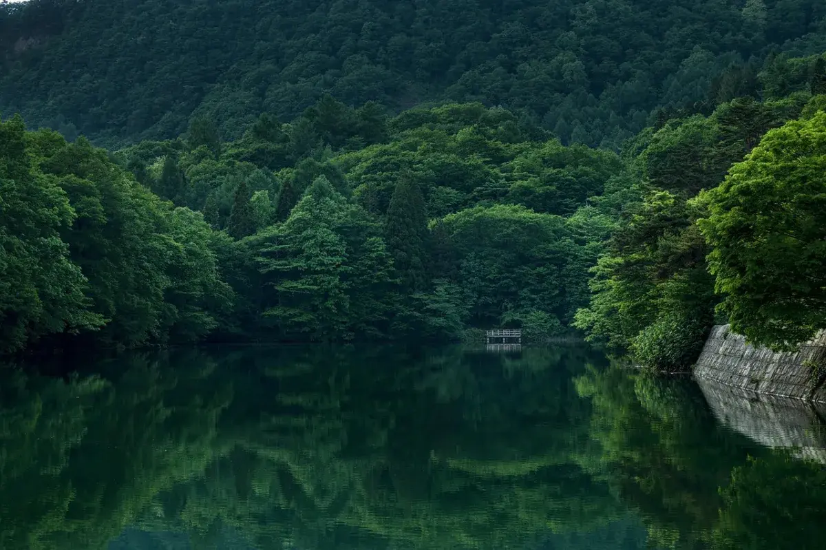 The Duality of Graham Platner: A Senate Candidate's Unconventional Path