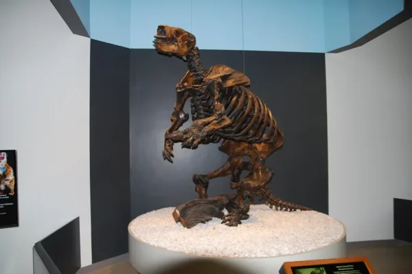 The Ice Age Beneath Los Angeles: Inside the La Brea Tar Pits Renovation