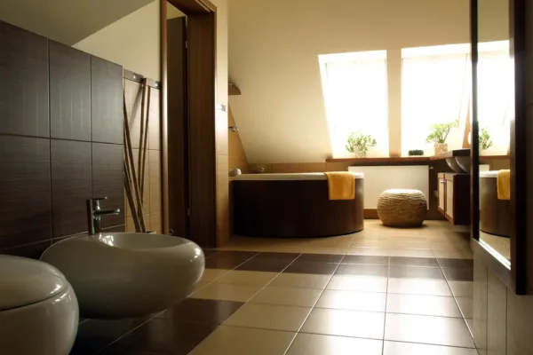 The Rising Appeal of Bidets: Sustainability and Savings in the Modern Bathroom