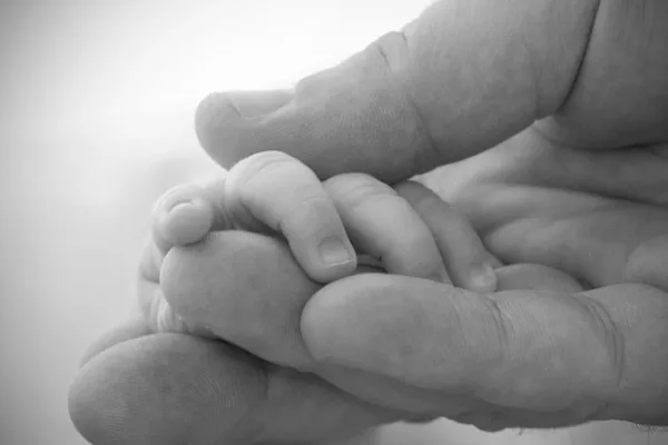 US Receives D+ Grade as Preterm Birth Rates Climb