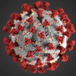 Unprecedented Challenge: Ebola Outbreak Fueled by Unvaccinable Bundibugyo Strain
