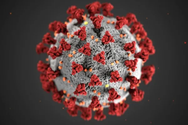 Unprecedented Challenge: Ebola Outbreak Fueled by Unvaccinable Bundibugyo Strain