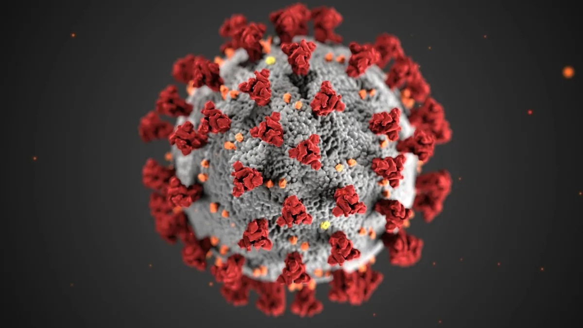 Unprecedented Challenge: Ebola Outbreak Fueled by Unvaccinable Bundibugyo Strain