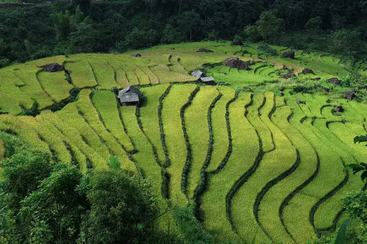 Vietnam Announces Major Amnesty Program for Nearly 10,000 Prisoners