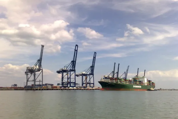 WHO Downplays Hantavirus Risk Following Deadly Maritime Outbreak