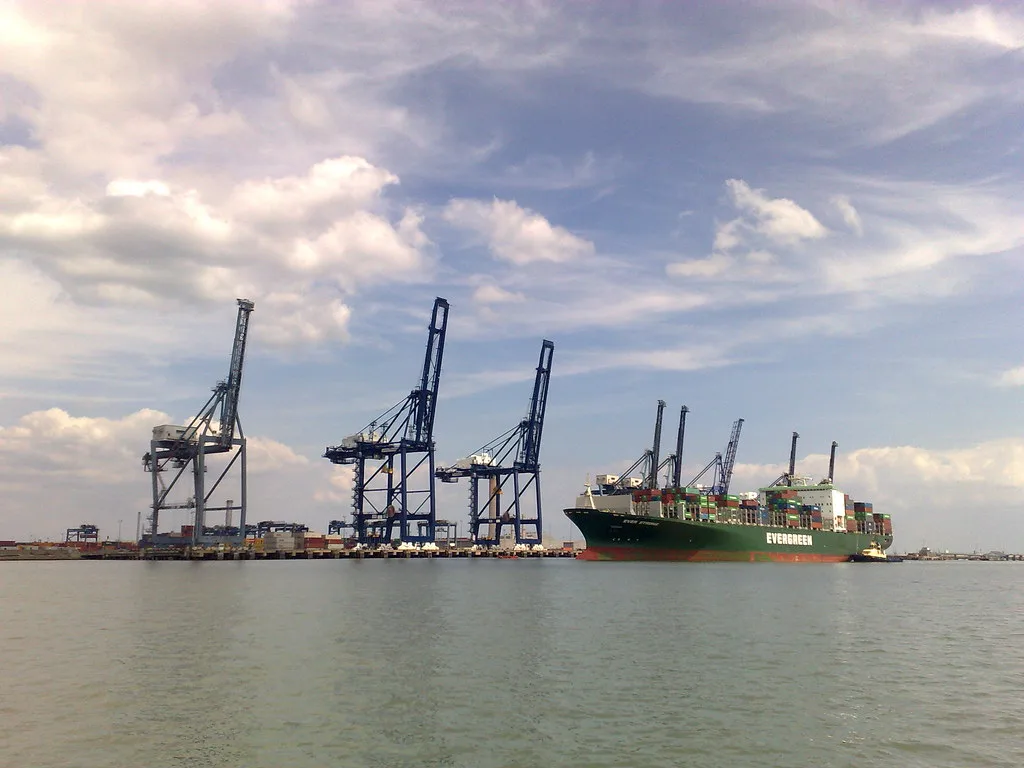 WHO Downplays Hantavirus Risk Following Deadly Maritime Outbreak