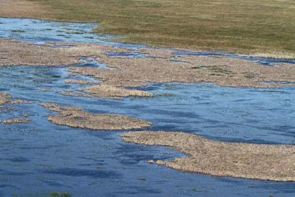 Wildfire Engulfs Portions of the Florida Everglades