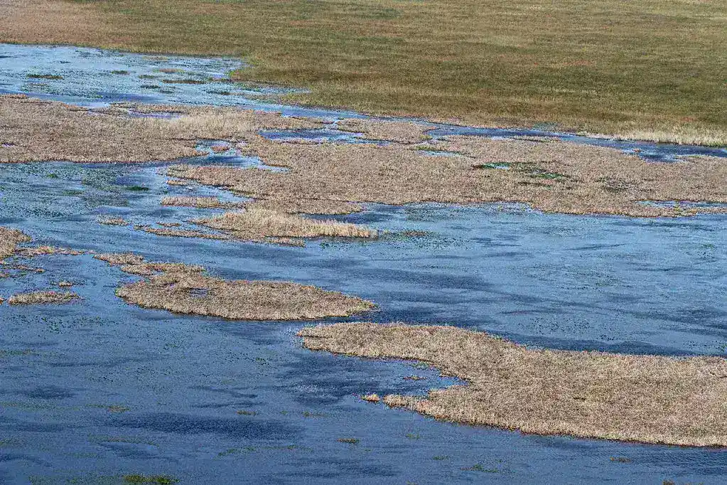 Wildfire Engulfs Portions of the Florida Everglades
