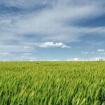 Debunking the Myth: Everyday Life, Not AI, Dominates U.S. Water Consumption